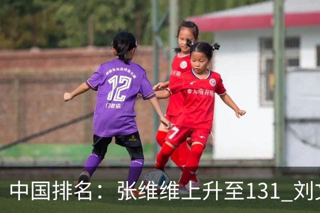 中国排名：张维维上升至131 刘文博曾莉棋飞跃