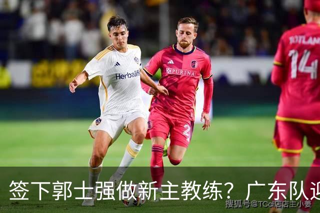 签下郭士强做新主教练？广东队迎来换帅机会，杜锋有望执教国家队