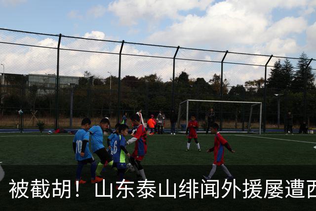 被截胡！山东泰山绯闻外援屡遭西甲豪门争抢，夏窗换外援再度落空